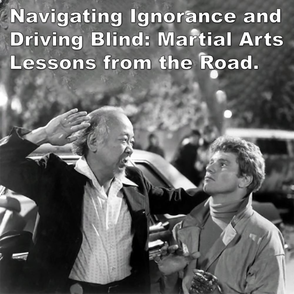 Navigating Ignorance and Driving Blind: Martial Arts Lessons from the Road. image