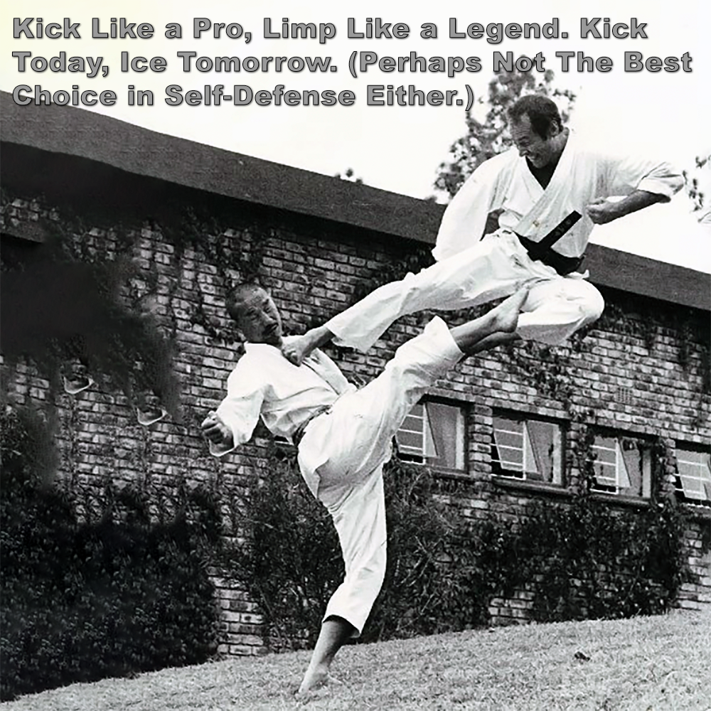 Kick Like a Pro, Limp Like a Legend. Kick Today, Ice Tomorrow. (Perhaps not the best choice in self-defense either.) image