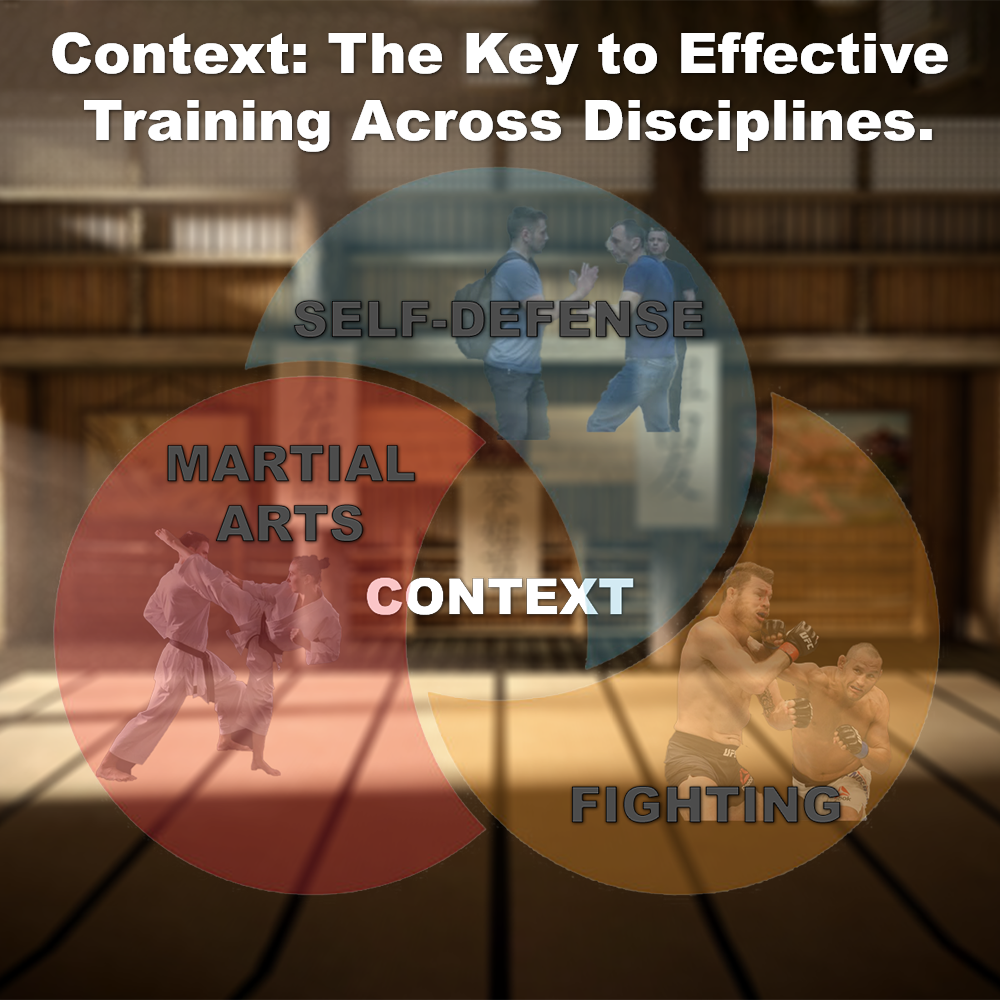 Context: The Key to Effective Training Across Disciplines. image