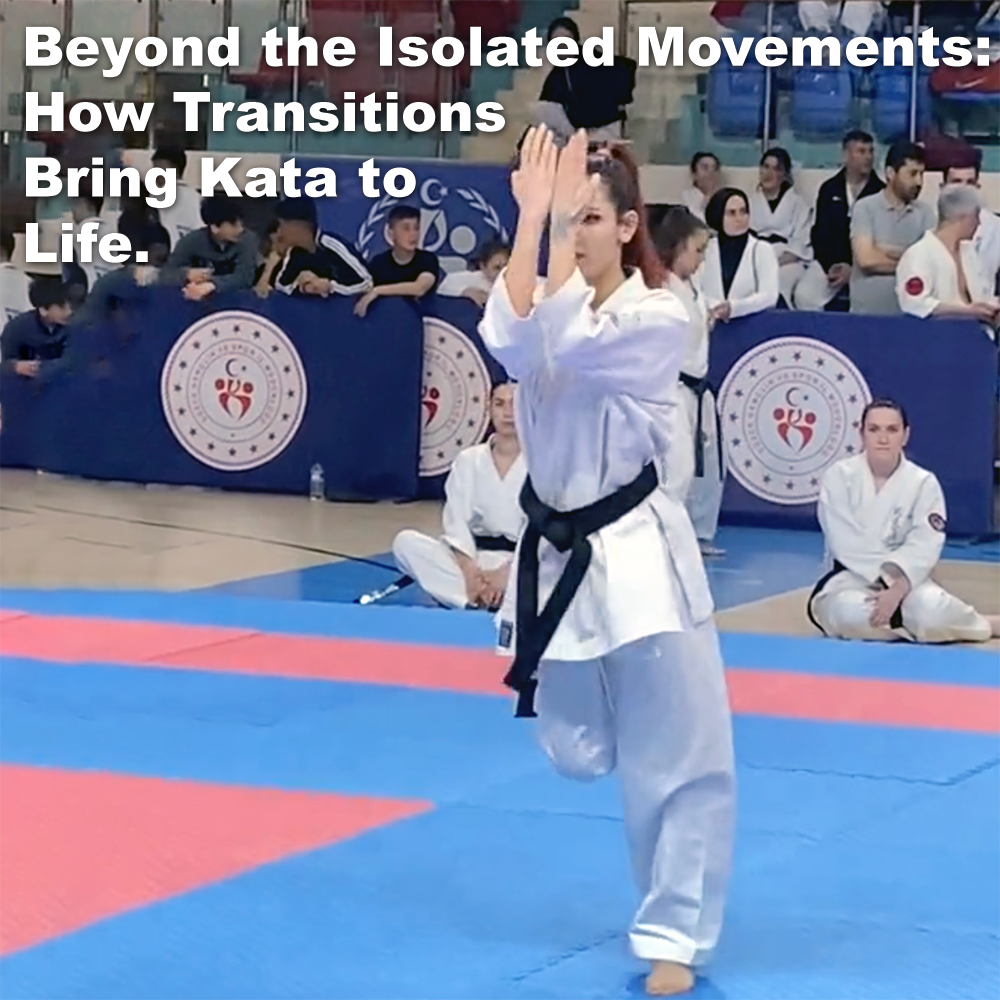 Beyond the Isolated Movements: How Transitions Bring Kata to Life. image