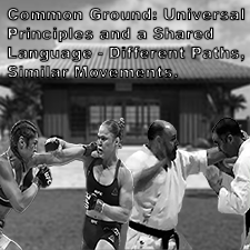 Common Ground: Universal Principles and a Shared Language – Different Paths, Similar Movements. image