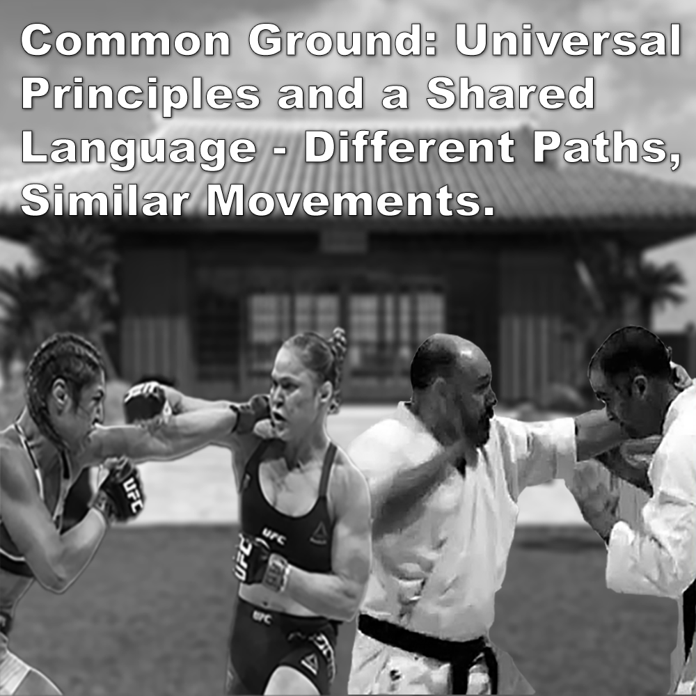 Common Ground: Universal Principles and a Shared Language – Different Paths, Similar Movements. image