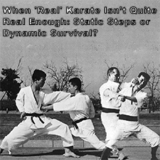 When ‘Real’ Karate Isn’t Quite Real Enough: Static Steps or Dynamic Survival? image