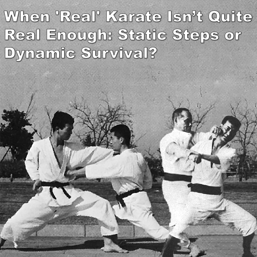 When ‘Real’ Karate Isn’t Quite Real Enough: Static Steps or Dynamic Survival? image