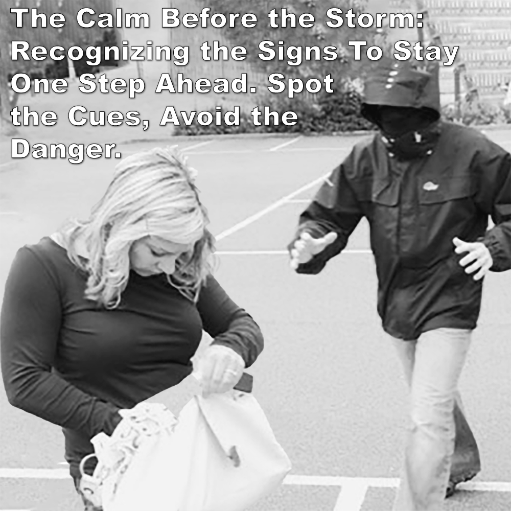 The Calm Before the Storm: Recognizing the Signs To Stay One Step Ahead. Spot the Cues, Avoid the Danger. image