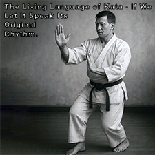 The Living Language of Kata – If We Let It Speak Its Original Rhythm. image
