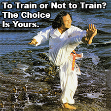 To Train or Not to Train? The Choice Is Yours. image