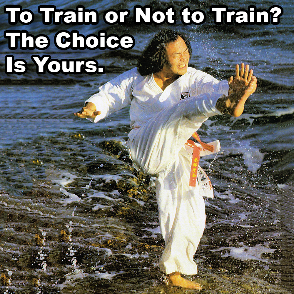 To Train or Not to Train? The Choice Is Yours. image
