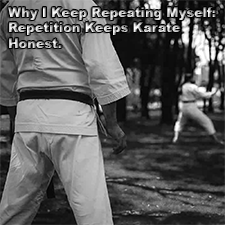 Why I Keep Repeating Myself: Repetition Keeps Karate Honest. image
