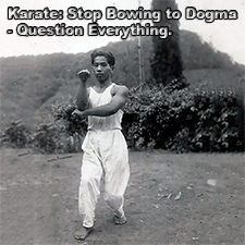 Karate: Stop Bowing to Dogma – Question Everything. image