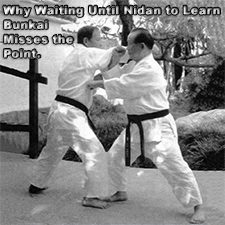 Why Waiting Until Nidan to Learn Bunkai Misses the Point. image