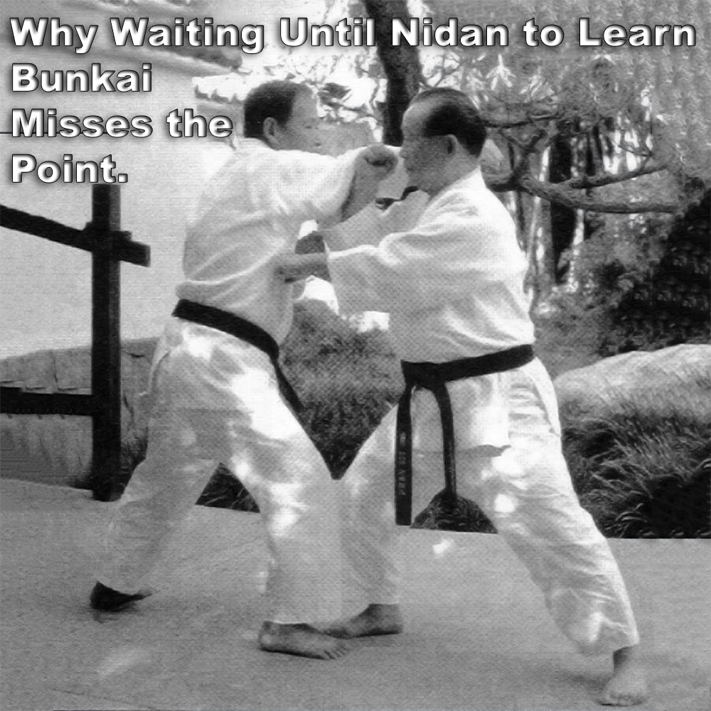 Why Waiting Until Nidan to Learn Bunkai Misses the Point. image