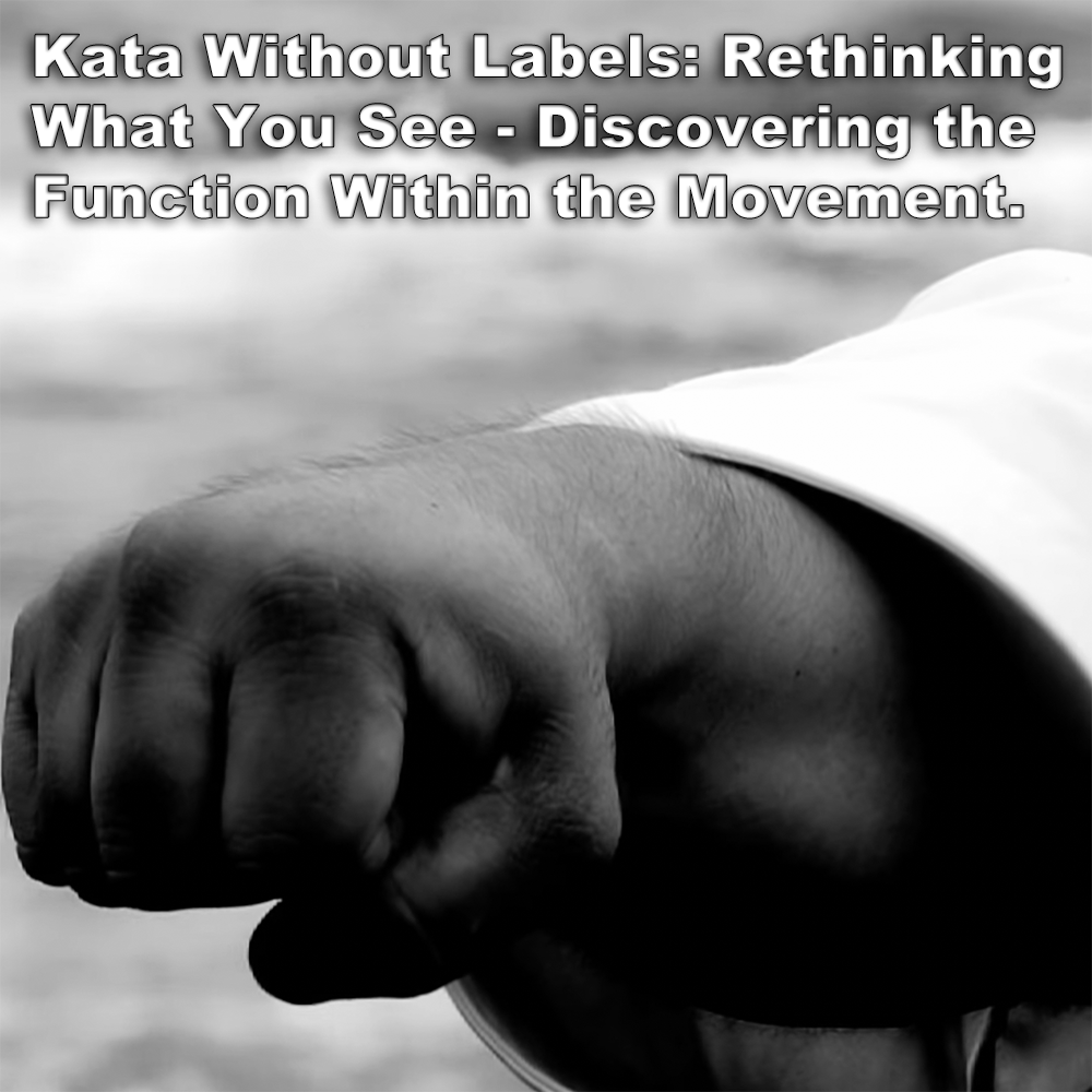 Kata Without Labels: Rethinking What You See – Discovering the Function Within the Movement. image