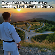 Beyond the One Right Way: Avoiding Bad Habits in Karate. image