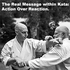 The Real Message within Kata: Action Over Reaction. image