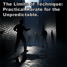 The Limits of Technique: Practical Karate for the Unpredictable. image