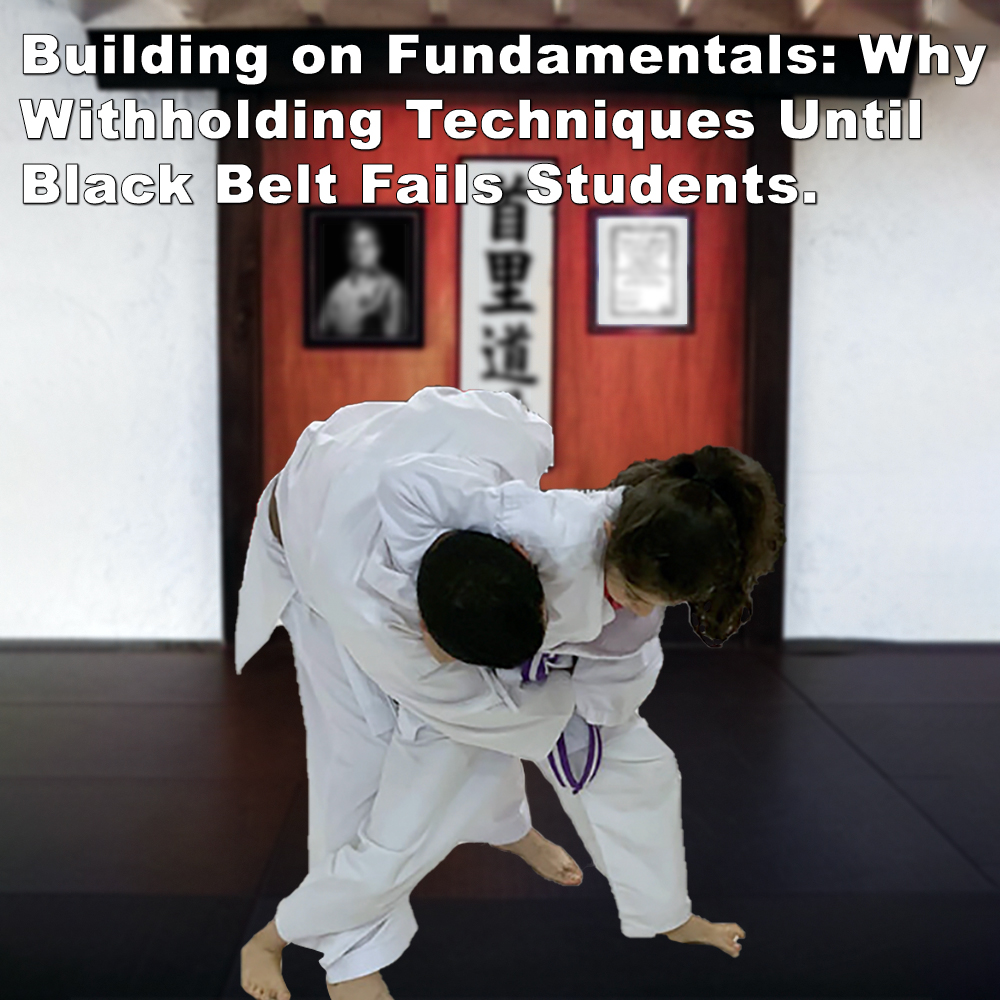 Building on Fundamentals: Why Withholding Techniques Until Black Belt Fails Students.image