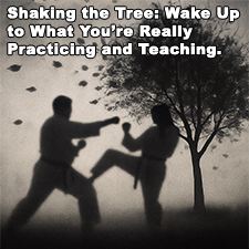 Shaking the Tree: Wake Up to What You’re Really Practicing and Teaching. image
