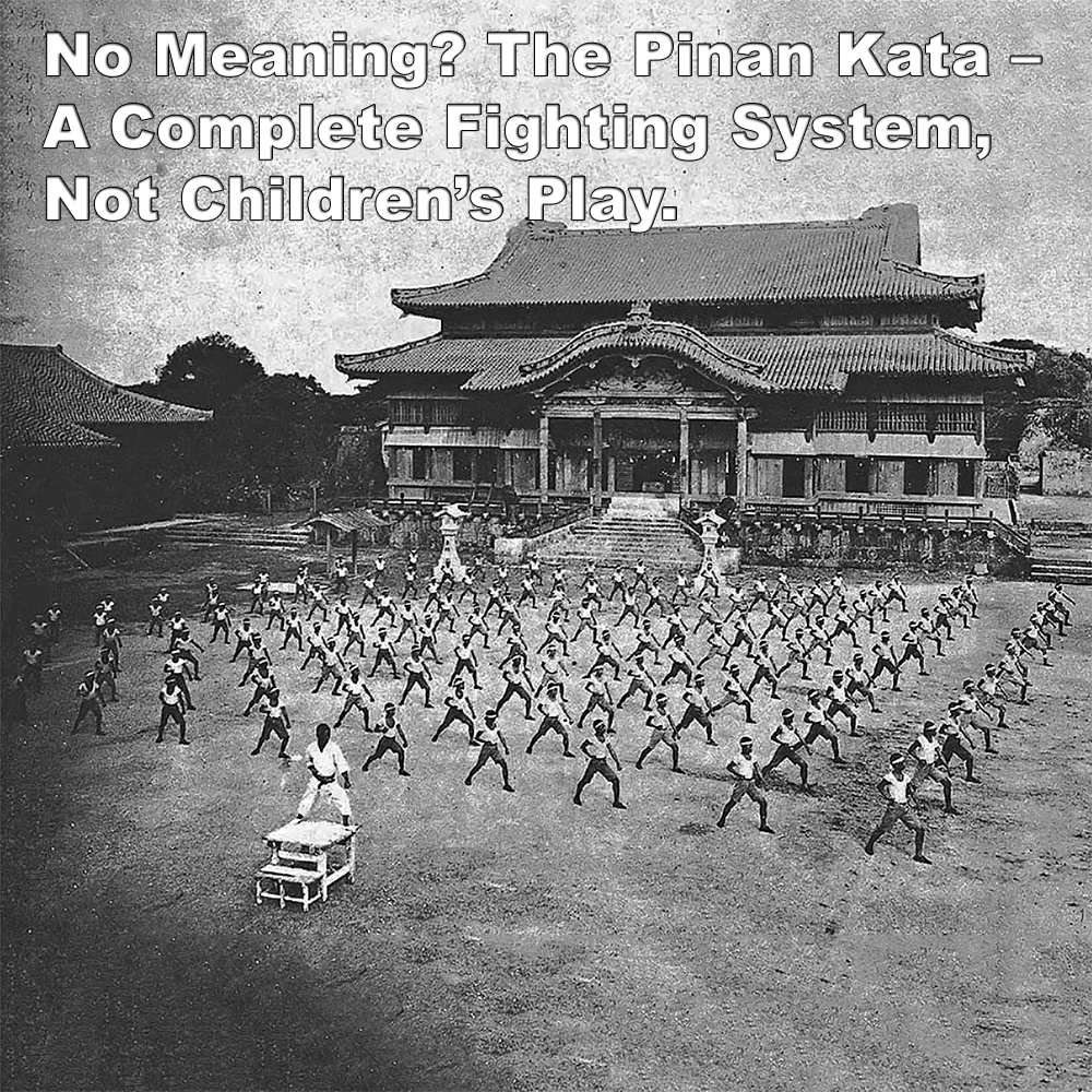 No Meaning? The Pinan Kata – A Complete Fighting System, Not Children’s Play. image