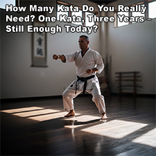 How Many Kata Do You Really Need? One Kata, Three Years – Still Enough Today? image