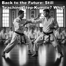 Back to the Future: Still Teaching Step-Kumite? Why? image