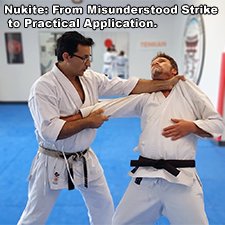 Nukite: From Misunderstood Strike to Practical Application. image