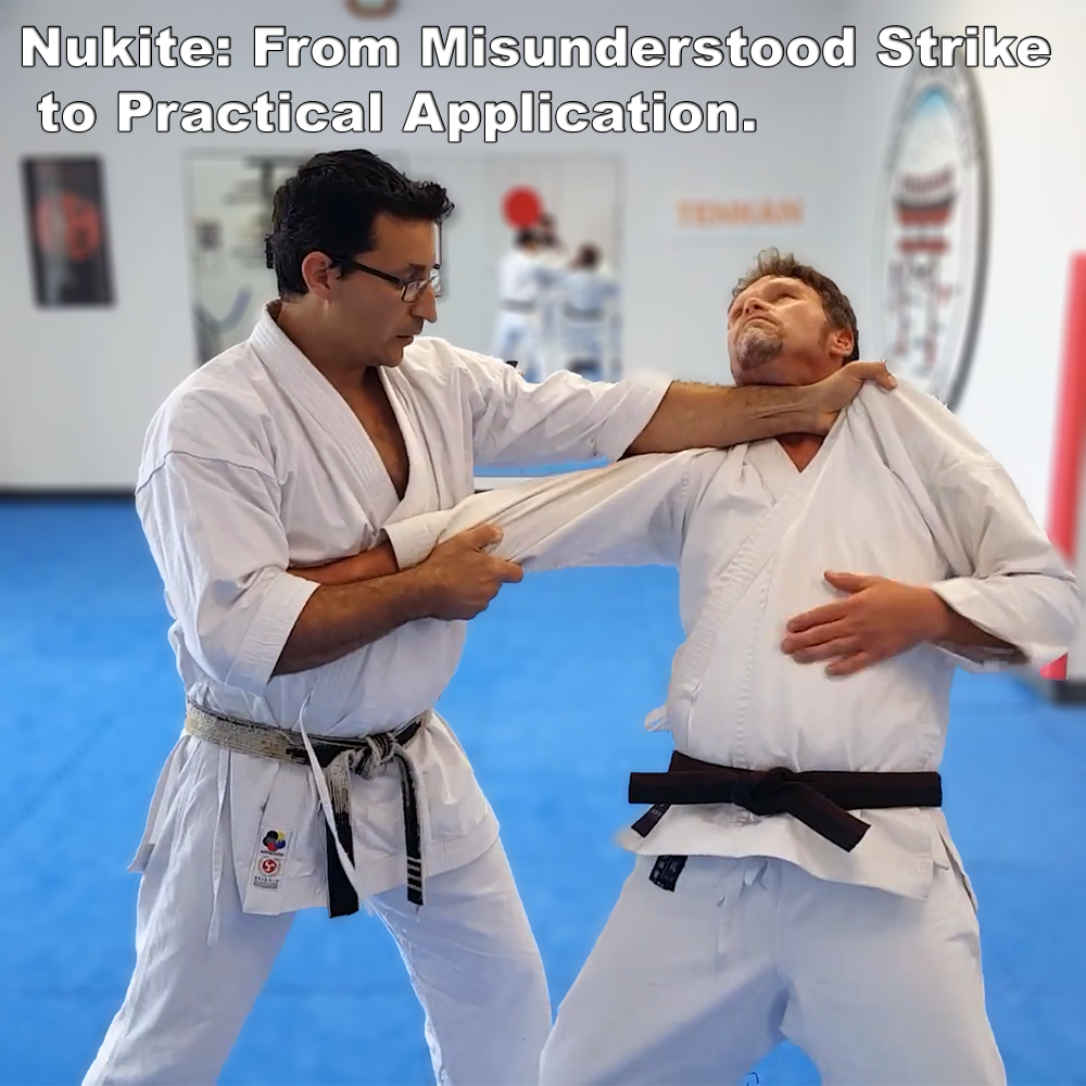 Nukite: From Misunderstood Strike to Practical Application. image