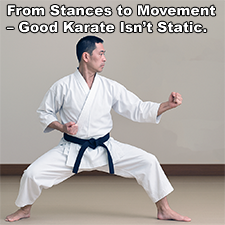 From Stances to Movement – Good Karate Isn’t Static. image