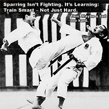 Sparring Isn’t Fighting. It’s Learning: Train Smart – Not Just Hard. image