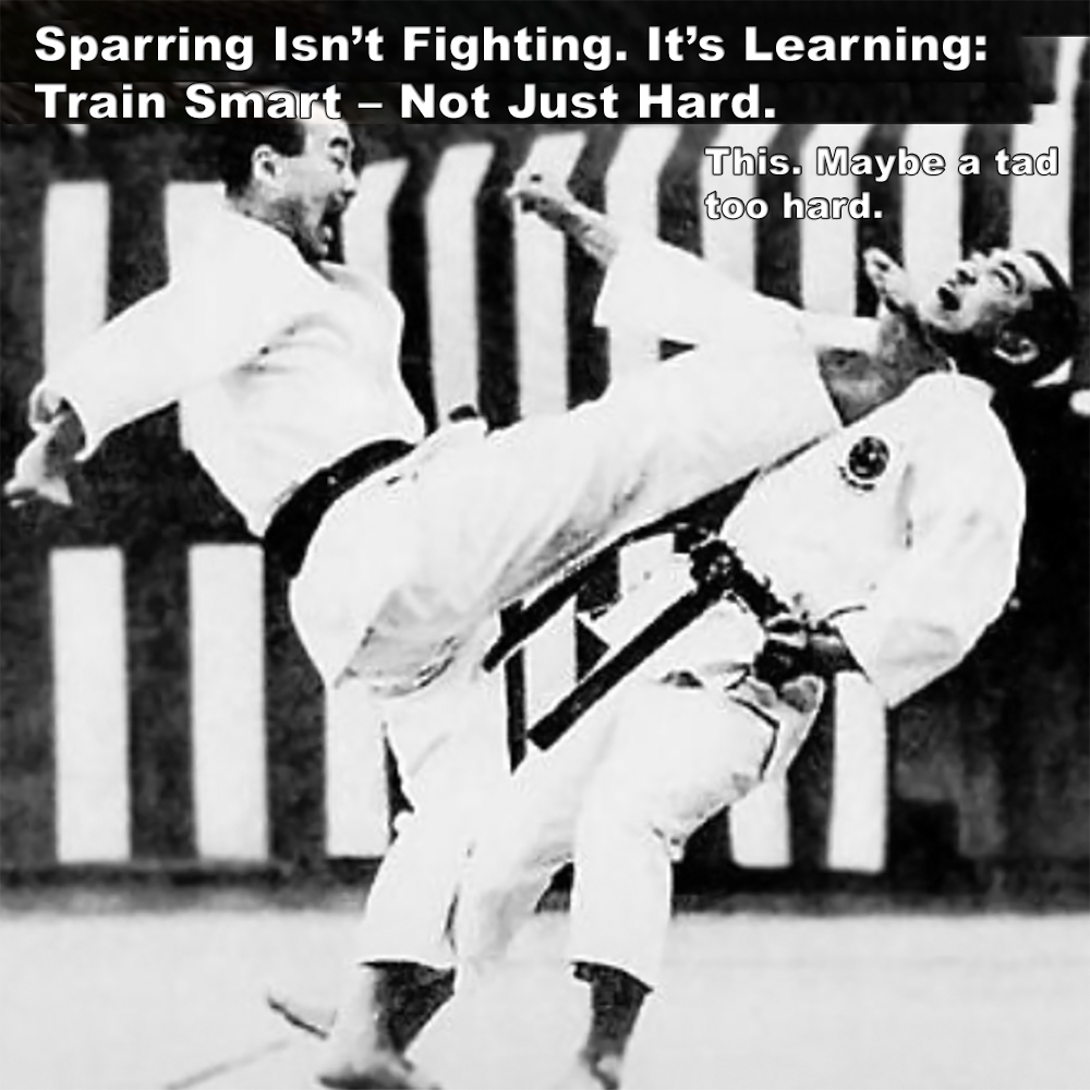 Sparring Isn’t Fighting. It’s Learning: Train Smart – Not Just Hard. image