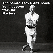 The Karate They Didn’t Teach You – Lessons from the Masters. image