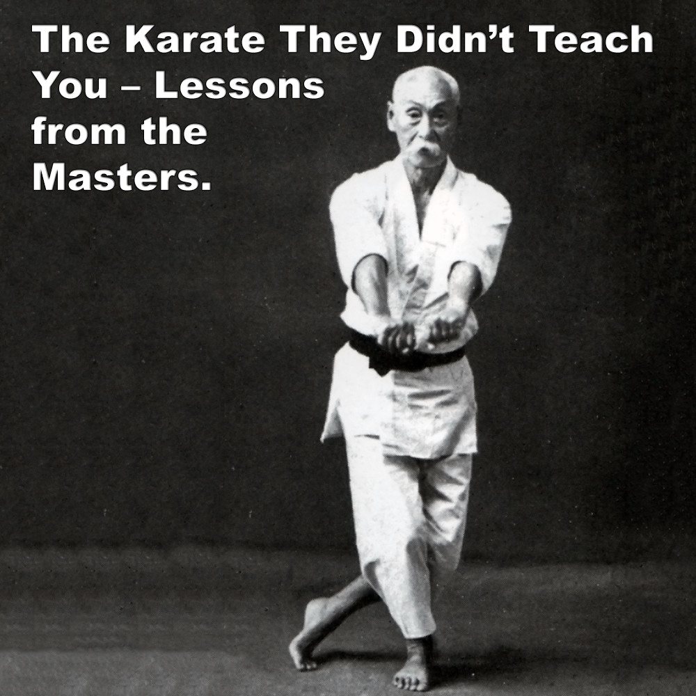 The Karate They Didn’t Teach You – Lessons from the Masters. image
