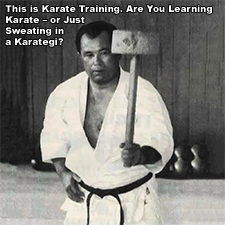 This is Karate Training. Are You Learning Karate – or Just Sweating in a Karategi? image