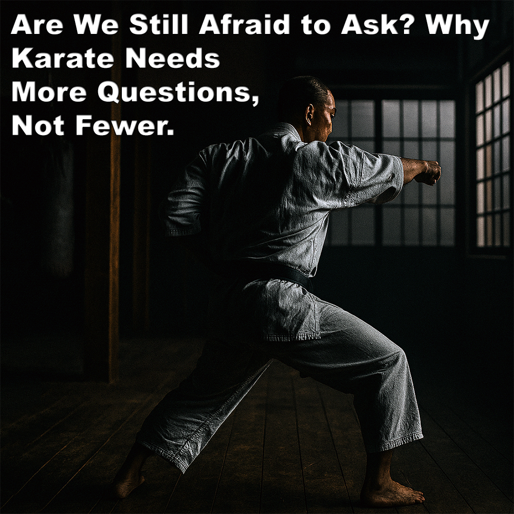 Are We Still Afraid to Ask? Why Karate Needs More Questions, Not Fewer. Are We Still Afraid to Ask? Why Karate Needs More Questions, Not Fewer. image
