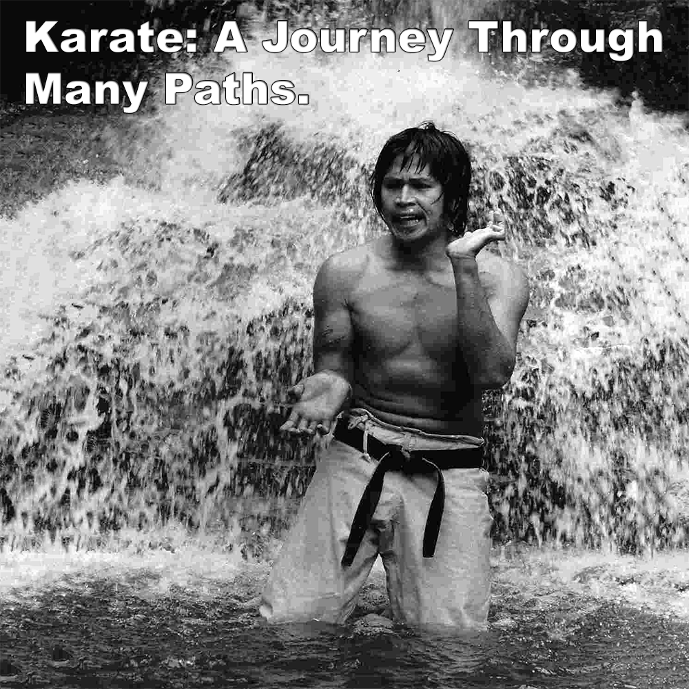 Karate: A Journey Through Many Paths. Karate: A Journey Through Many Paths. image