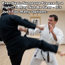 Ever Seen Someone Freeze in a Fight? It May Not Be Fear – It’s Just Too Many Options. image
