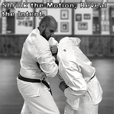 Shrink the Motion, Reveal the Intent. image