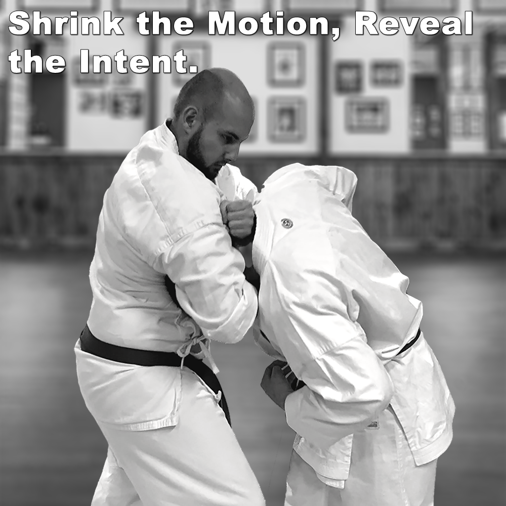 Shrink the Motion, Reveal the Intent. image