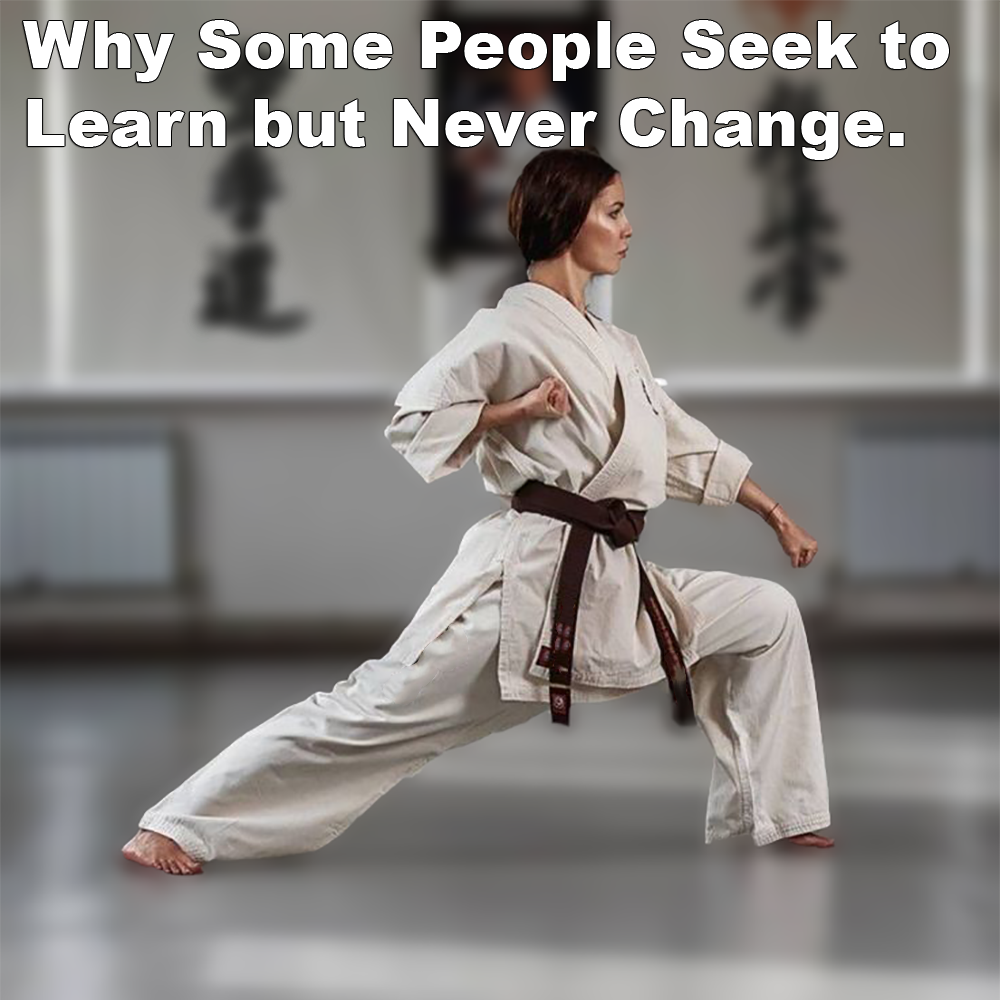 Why Some People Seek to Learn but Never Change. image