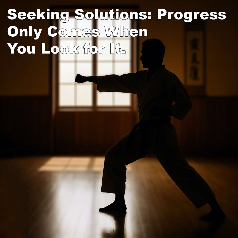 Seeking Solutions: Progress Only Comes When You Look for It. image