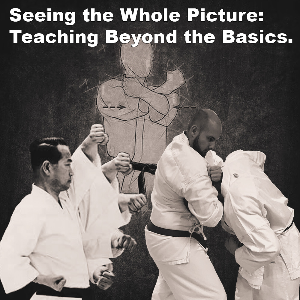 Seeing the Whole Picture: Teaching Beyond the Basics.. Seeing the Whole Picture: Teaching Beyond the Basics.. image