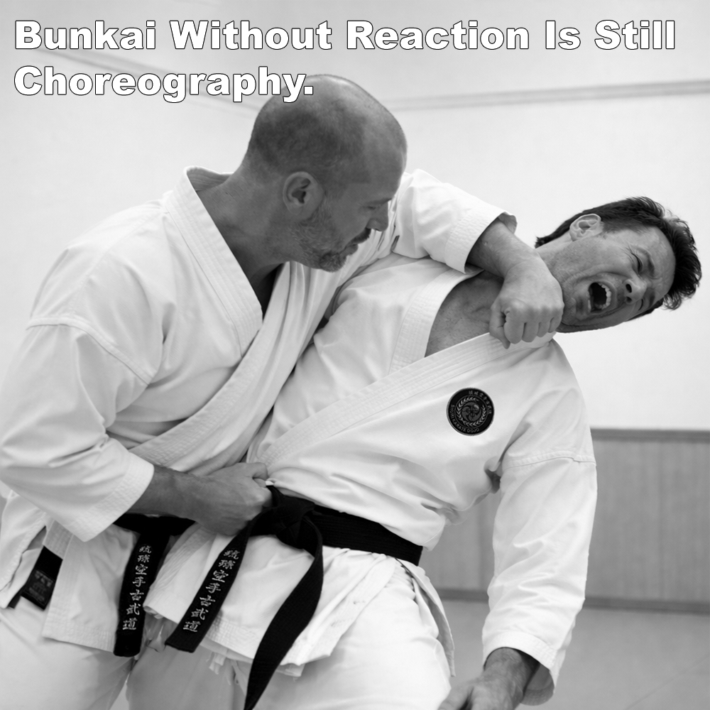 Bunkai Without Reaction Is Still Choreography. Bunkai Without Reaction Is Still Choreography. image