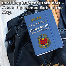 Learning Isn’t the Hard Part – When Experience Gets in the Way. image