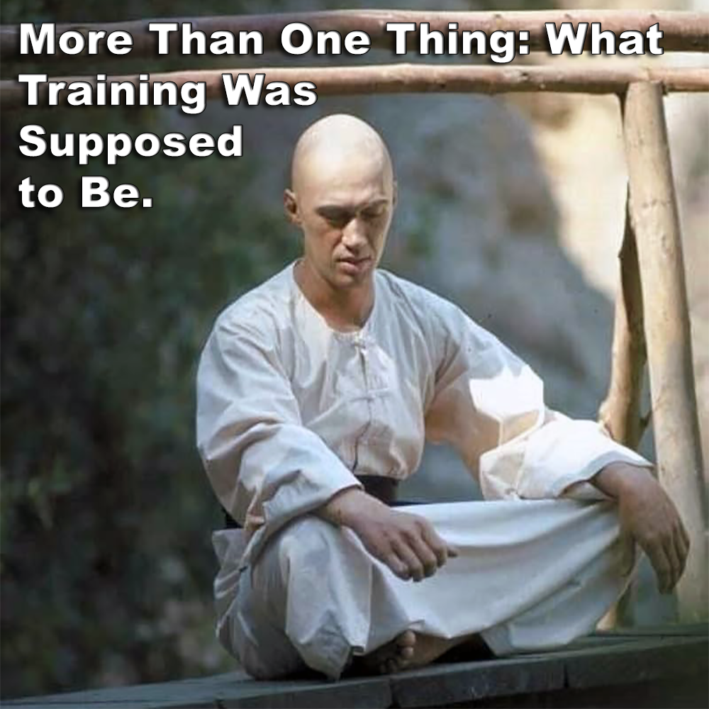 More Than One Thing: What Training Was Supposed to Be. image